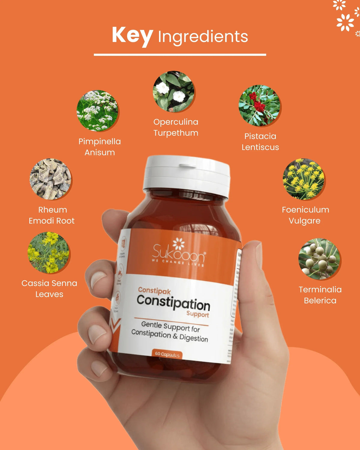 Constipak Digestive Regularity Support Capsules by Sukooon